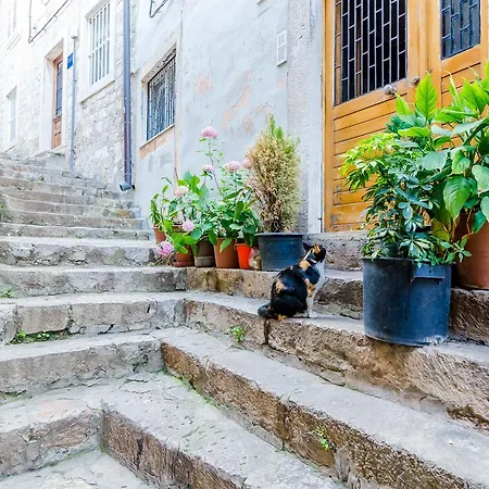 Ivona Apartment Dubrovnik